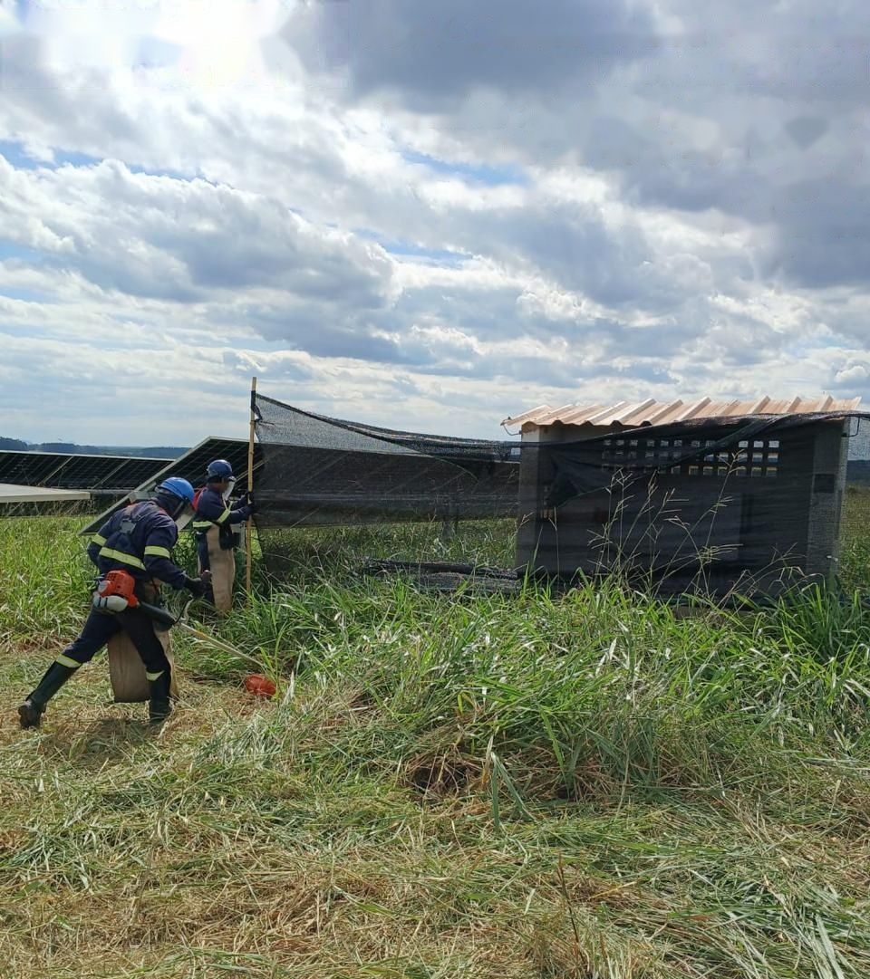 Equipe com roçadeira costal e tela de proteção junto a módulos e cabine